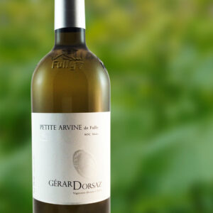 Petite Arvine de Fully AOC Valais - 75 cl 2024